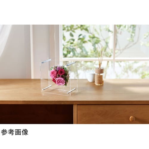 Aerial(エアリアル)クリア 18□