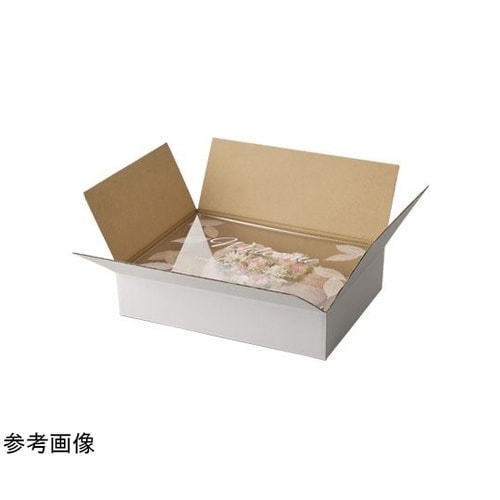 Cardboard box for Ae