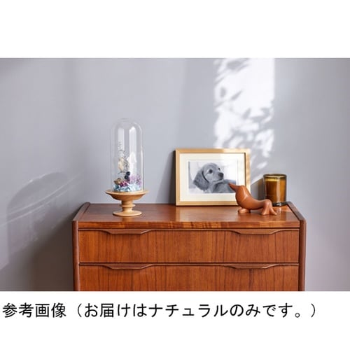 oracle(オラクル)ダークブラウン