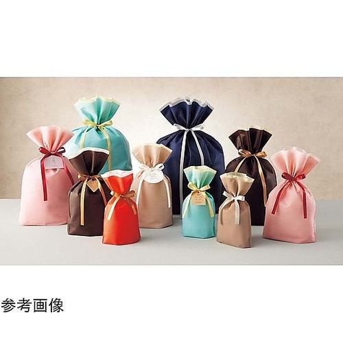 フロンティア 不織布リボン付きギフトバッ