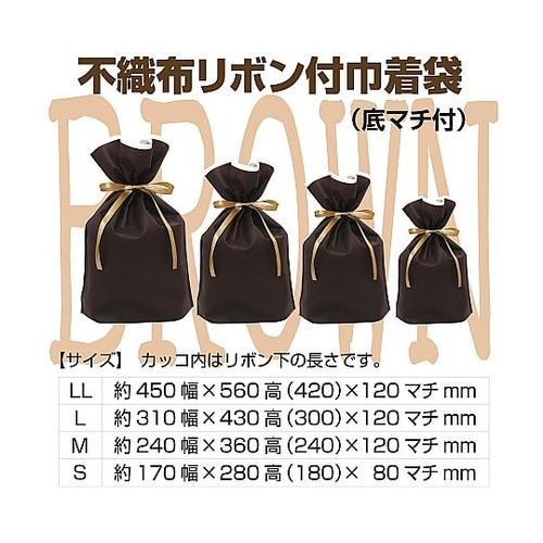 フロンティア 不織布リボン付きギフトバッ