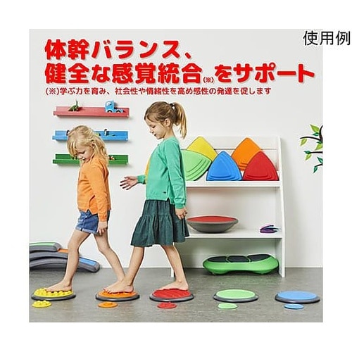 タクタイルディスク セット1 理学療法士