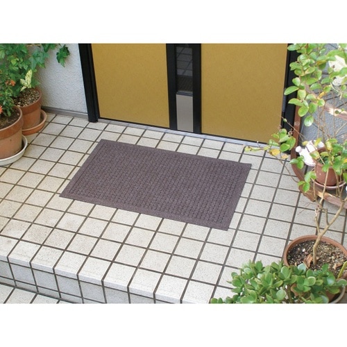 玄関マット 吸水速乾 62×88cm グリーン