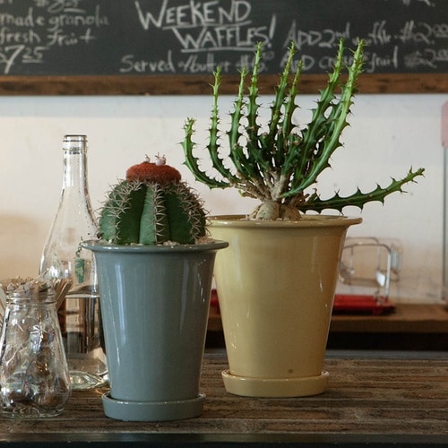 ダルトン 植木鉢 ボタニーロングポット ベージュ