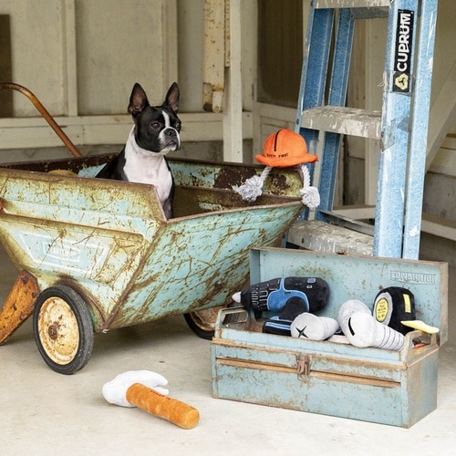 おもちゃ 犬 SAFETYHELMET