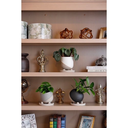 植木鉢 レヒーポット Dタイプ 受け皿付き グレー