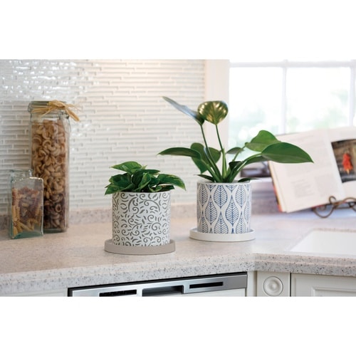 植木鉢 グリッグポット 唐草模様×ベージュ