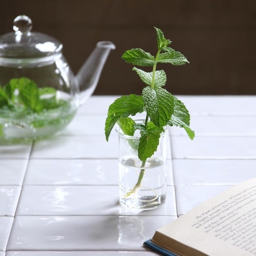 花瓶 MINI BULB VASE