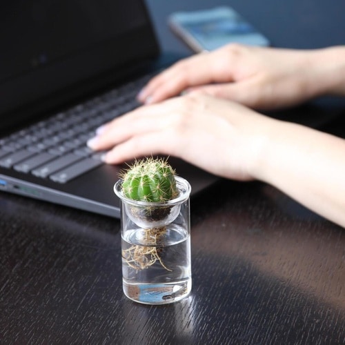 花瓶 MINI BULB VASE