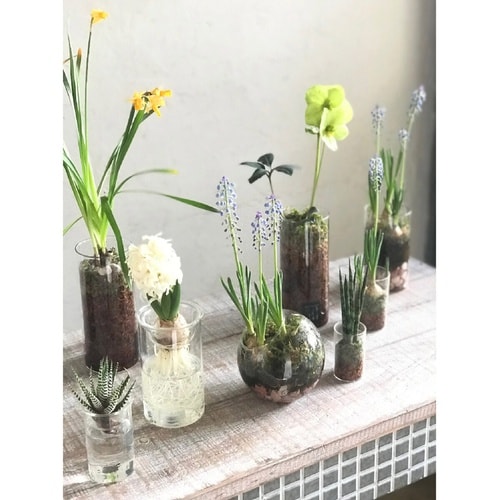 花瓶 MINI BULB VASE