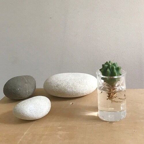 花瓶 MINI BULB VASE