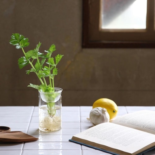 花瓶 MINI BULB VASE