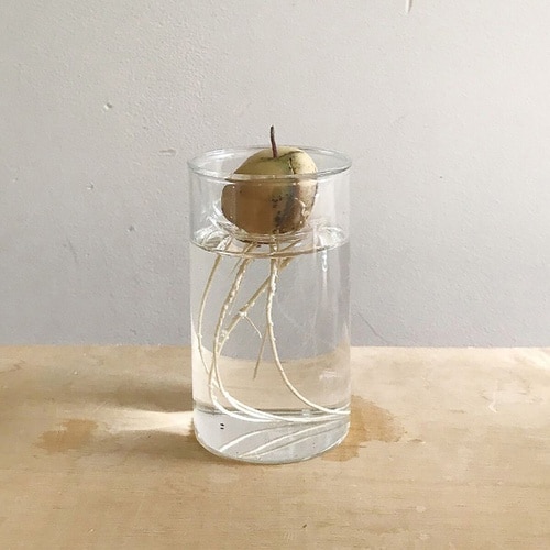 花瓶 MINI BULB VASE