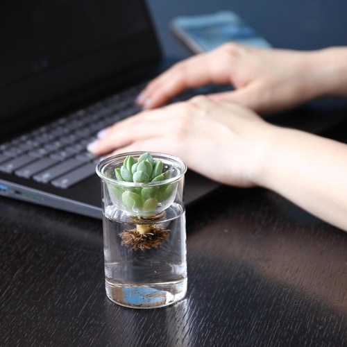 花瓶 MINI BULB VASE