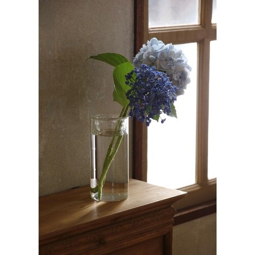 花瓶 BULB VASE 水栽培ガラスベース