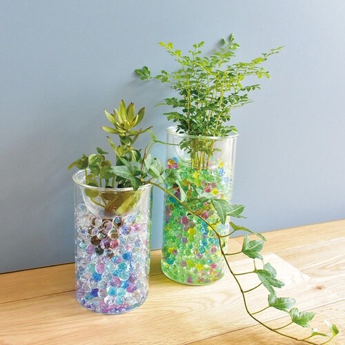 花瓶 BULB VASE 水栽培ガラスベース