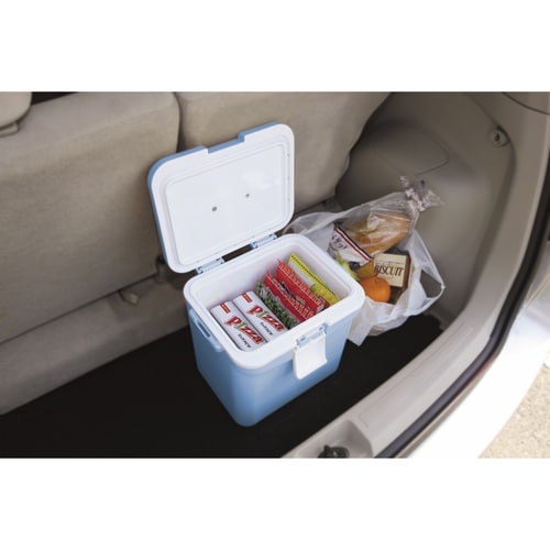 クーラーボックス 9L クールエース 9S ブルー