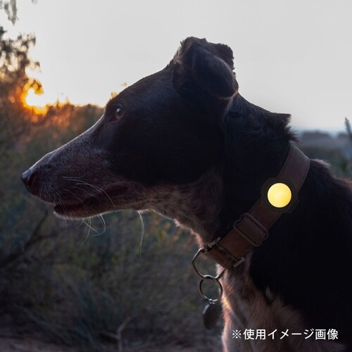 ライト 散歩 犬 ループセイフ イエロー