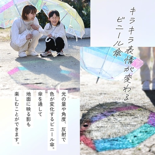 雨傘 長傘 LINEDROPS クリア ブルー