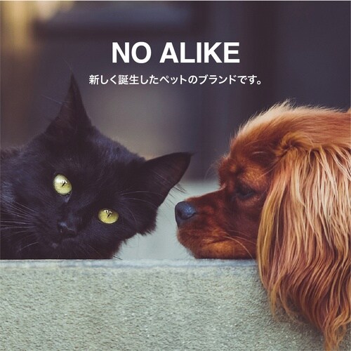 タオル 犬 抗菌 ペットローブ M グレー