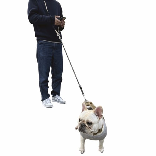 リード ショルダーリード 犬 グリーン