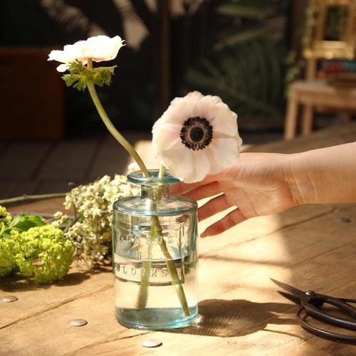 花瓶 VALENCIA クリア