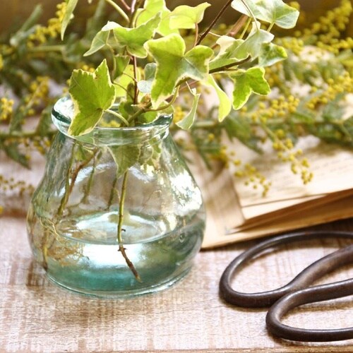 花瓶 VALENCIA リサイクルガラス クリア