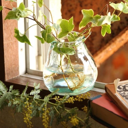 花瓶 VALENCIA リサイクルガラス クリア