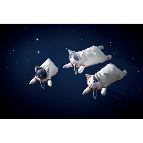 ペンケース アストロキャット ネコ 猫 ハチワレ