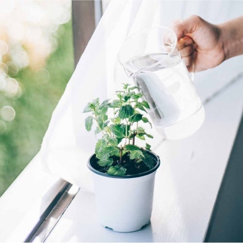 HARIO トールビーカーサーバー