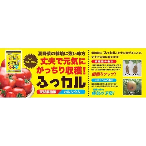ふっカル 500g