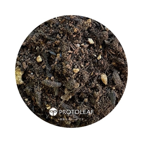 チューリップの土 5L