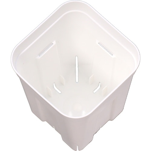 プレステラ 深型75 5個組 ホワイト