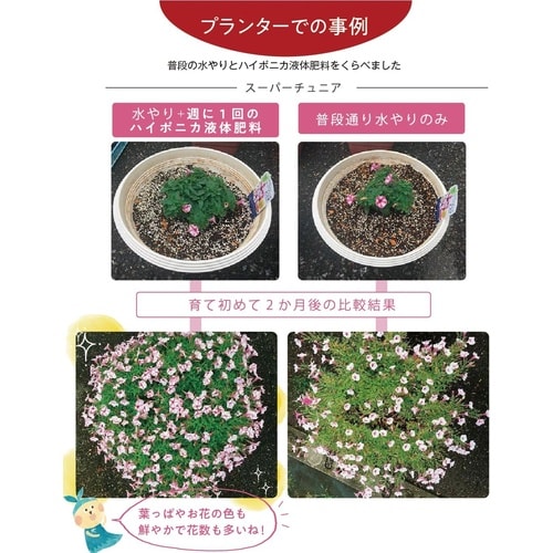 ハイポニカ液体肥料 A液B液セット 500ml