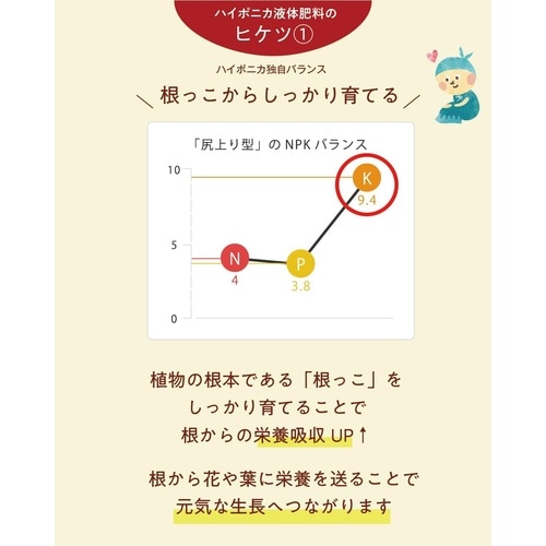 ハイポニカ液体肥料 A液B液セット 1L