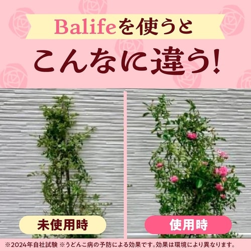 農薬 バラの虫・病気・退治&予防 1000ml