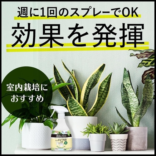 土のカビ予防スプレー 350ml