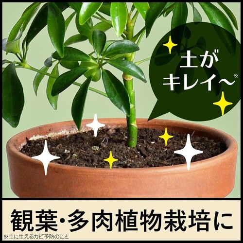 土のカビ予防スプレー 350ml