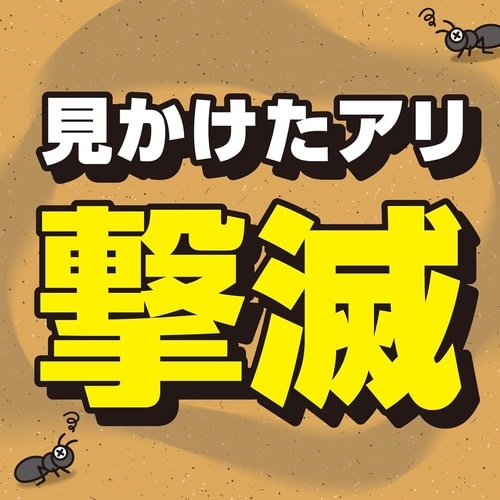 EG アリ撃滅エアゾール 480ml