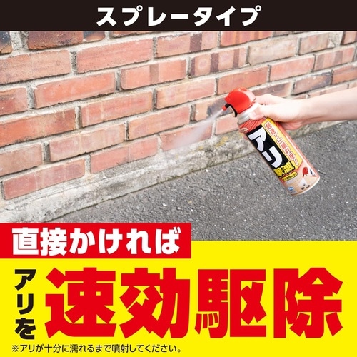 EG アリ撃滅エアゾール 480ml