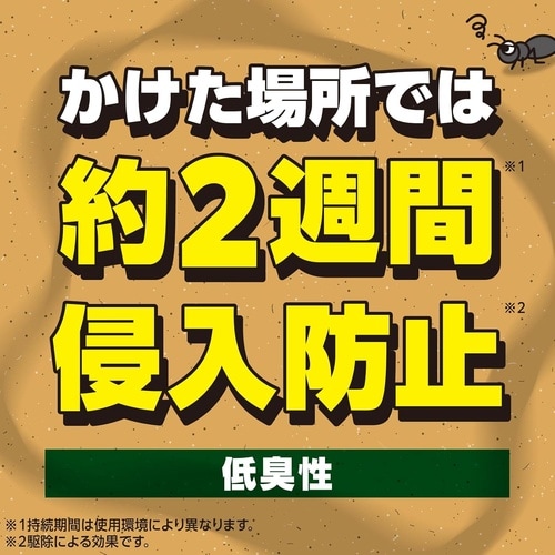 EG アリ撃滅エアゾール 480ml