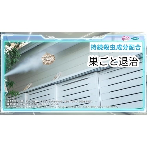 カダンハチ・アブダブルジェット 480ml