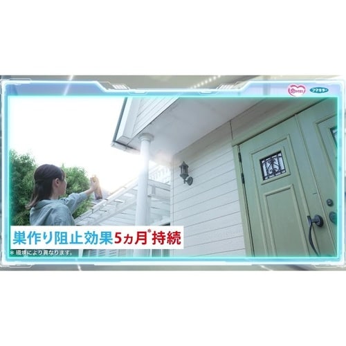 カダンハチ・アブダブルジェット 480ml