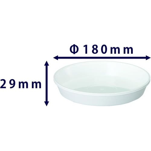 鉢皿サルーン 6号 W