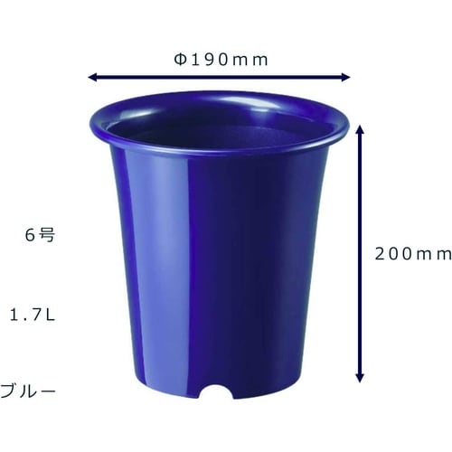 洋ラン鉢 6号 ブルー