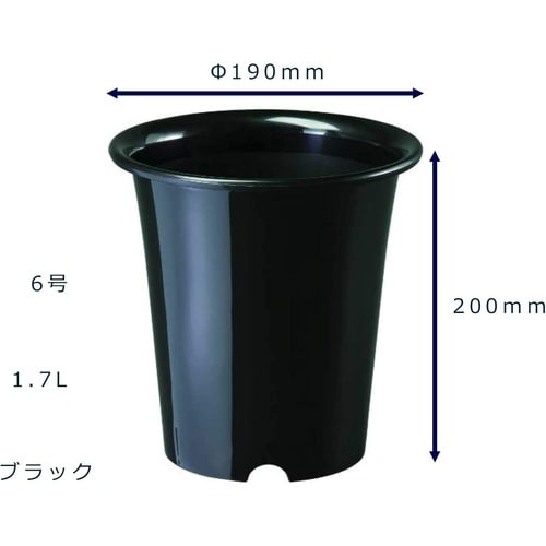 洋ラン鉢 6号 ブラック