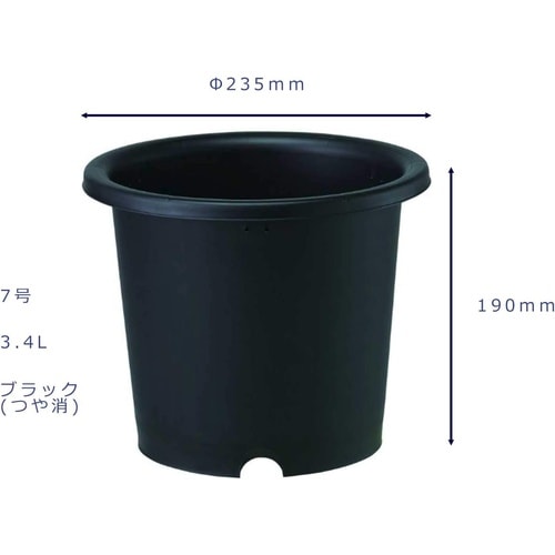 菊鉢 7号 BK