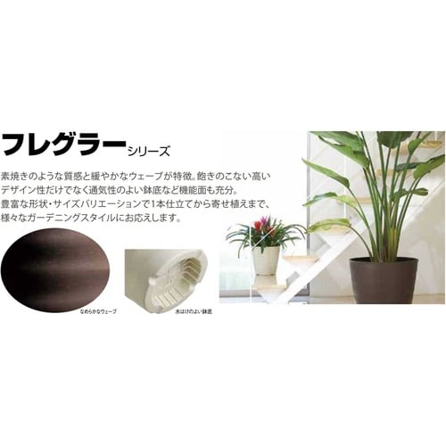 フレグラープレート 27型用 IV