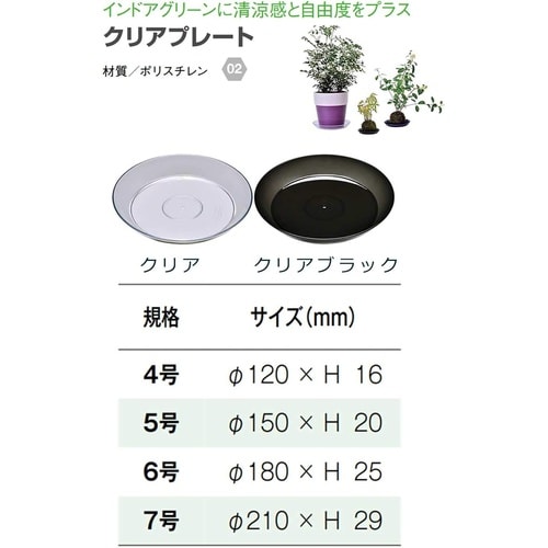 クリアプレート 6号 CLBK