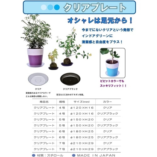 クリアプレート 6号 CLBK